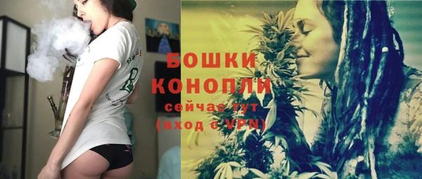 бошки Краснослободск