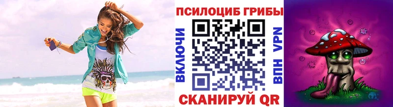 Галлюциногенные грибы Magic Shrooms  Купить  Заводоуковск 