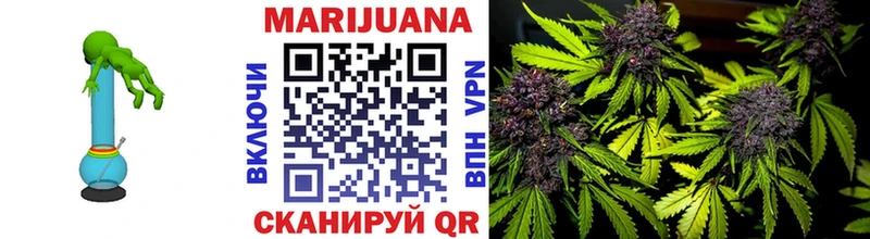 Купить где  Заводоуковск  Шишки марихуана индика 